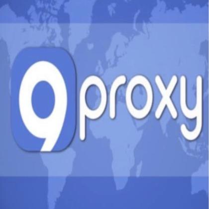 20 IPs Of 9Proxy